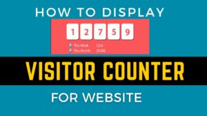Read more about the article Display Visitor Counter