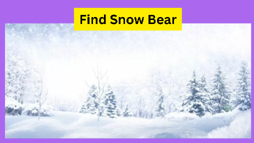 You are currently viewing Find the Challenge, Only sharp eyes point out Snow Bear