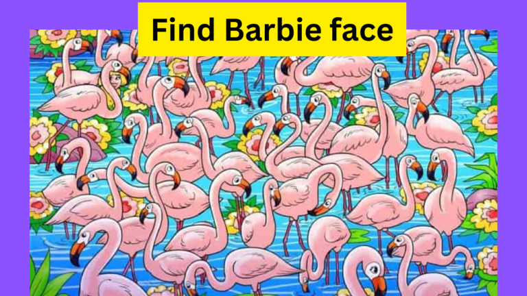 Read more about the article Only fresh mind find Barbie face in this image